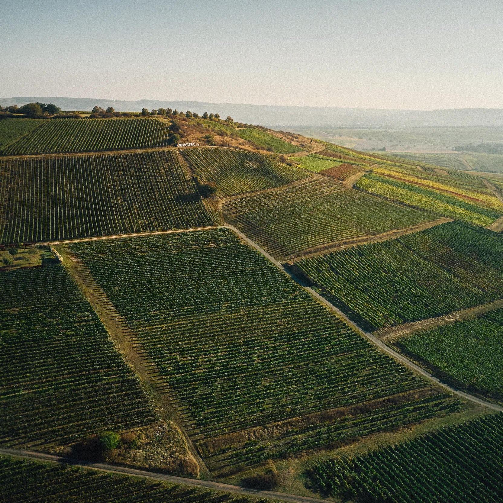 Weintasting mit Weingut Korrell 29.11.2025 im Bergischem Weinkeller