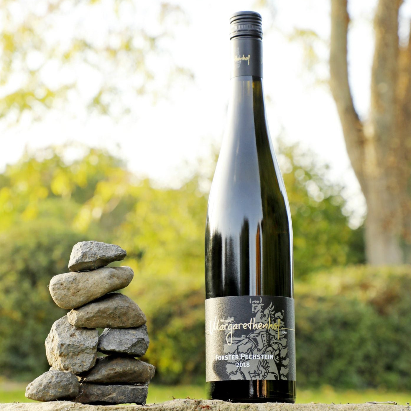 Weingut Margarethenhof Forster Riesling Pechstein trocken