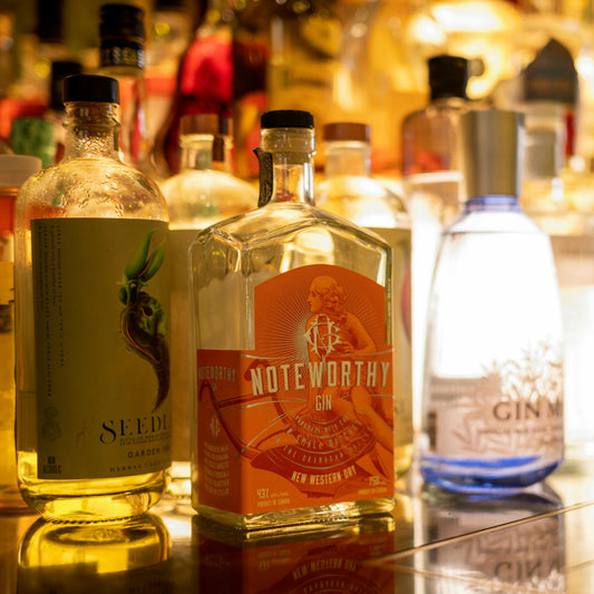 Gin Tasting im Bergischem Weinkeller 26.07.2025